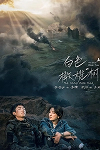 Cây Ô Liu Màu Trắng