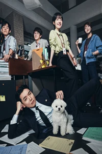 Luật Sư Công Ích